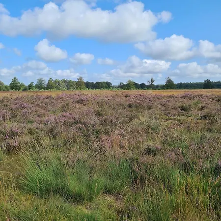 De Uilenhoeve Odoornerveen Buitenkant foto